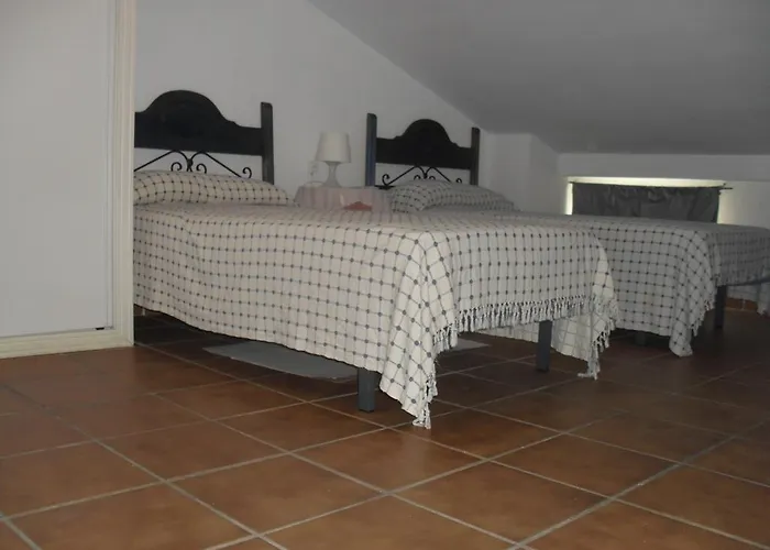 Alcaraván 32